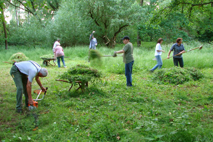 Biotopmahd Valznerweiher