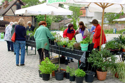 Pflanzentauschbörse