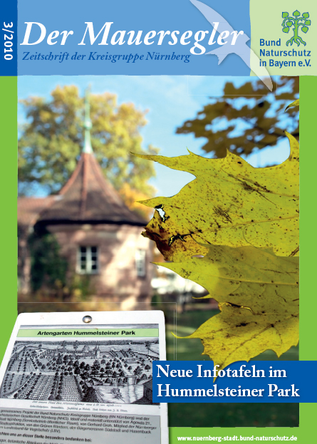 Mauersegler 3/2010
