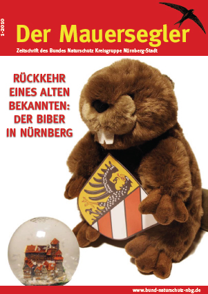 Mauersegler 1/2010