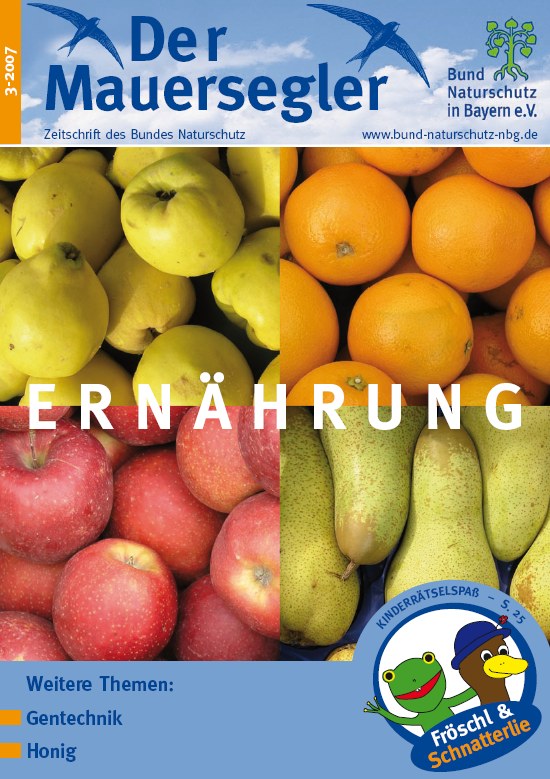 Mauersegler 3/2007