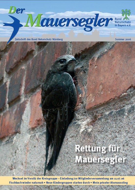 Mauersegler 1/2006