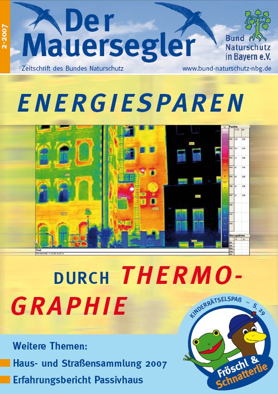 Mauersegler 2/2007
