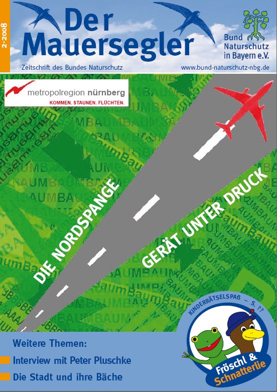 Mauersegler 2/2008