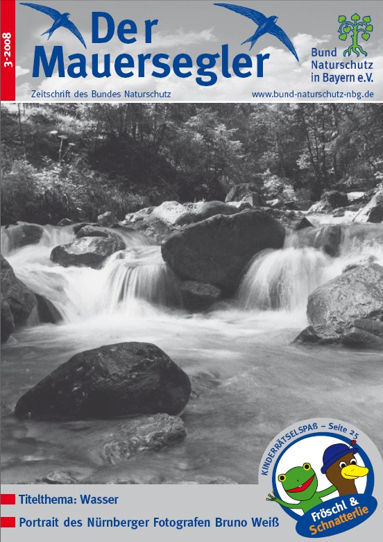 Mauersegler 3/2008