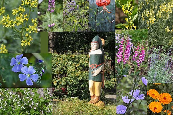 Heilkräutergarten Hallertor