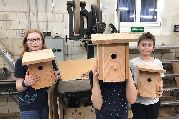 Nistkastenpräsentation