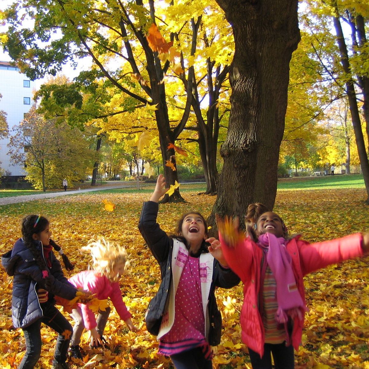 Blättertanz (Foto: Denise Schmid) Blättertanz