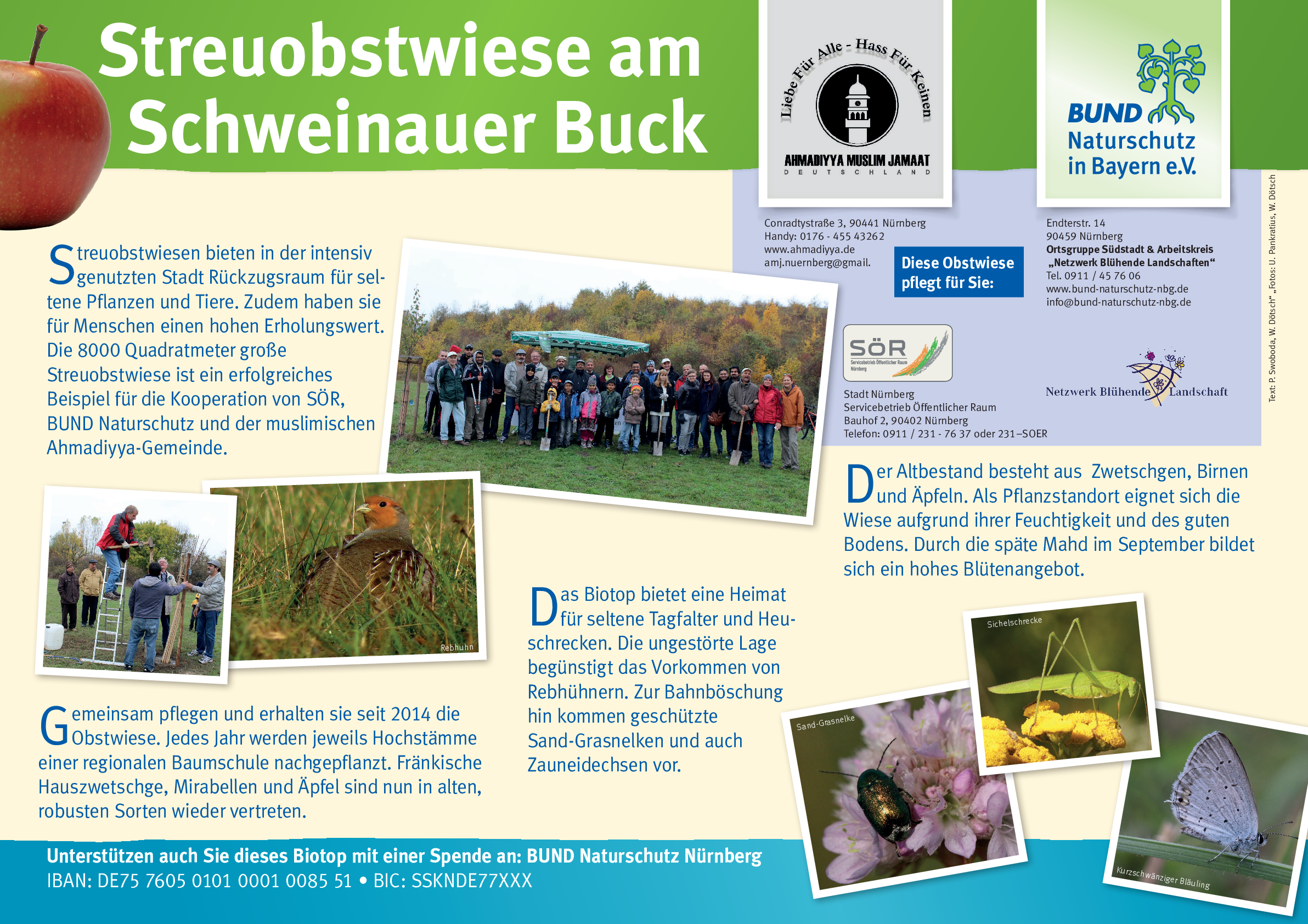 Schautafel am Schweinauer Buck Schautafel am Schweinauer Buck