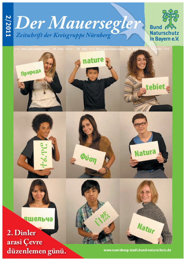 Mauersegler 2/2011