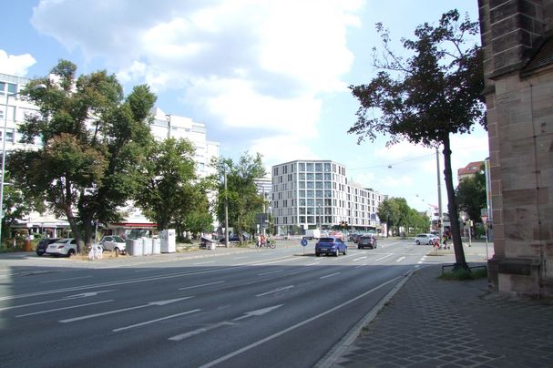 verbliebener Ahorn an der Peterskirche
