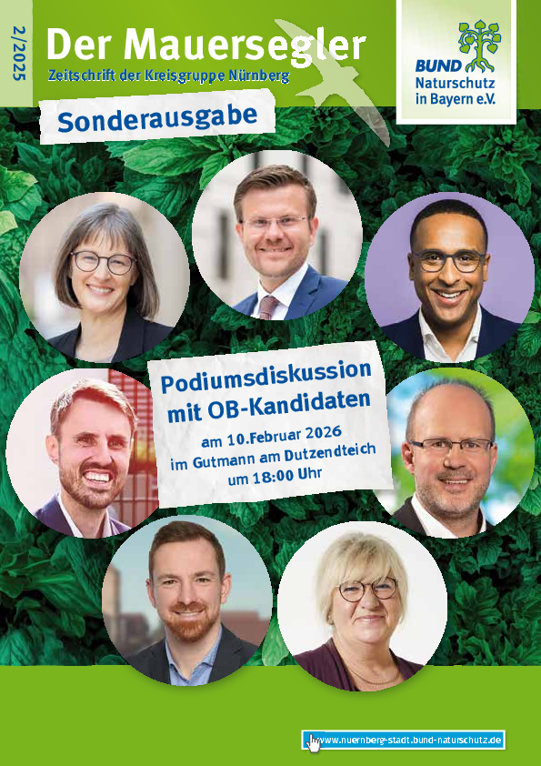 Titelbild Mauersegler 2/2025