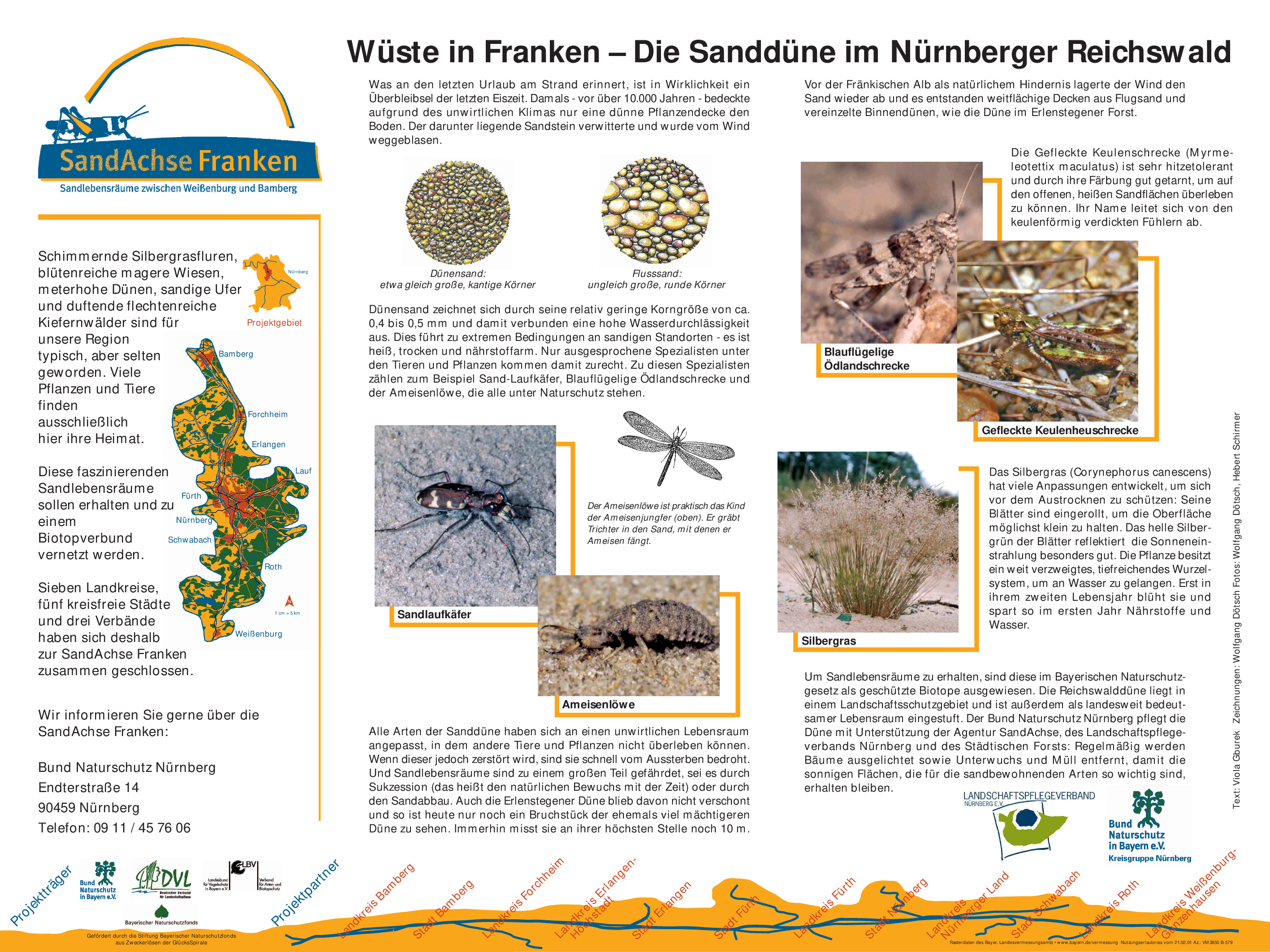 Schautafel Sanddüne Erlenstegen