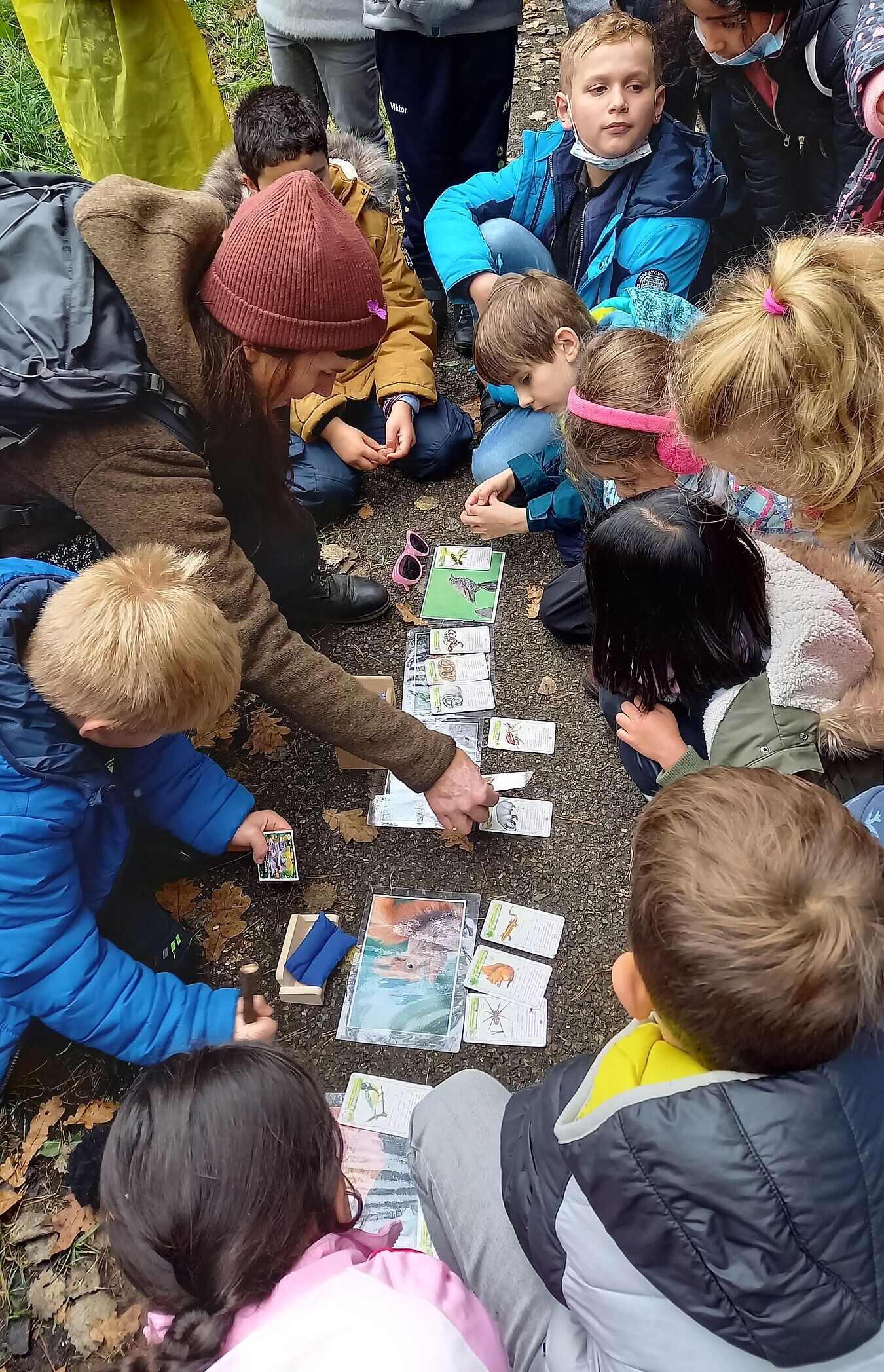 Heckenmemory (Foto: Anna Vogel) Heckenmemory