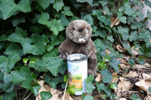 Plüschbiber mit Spendendose