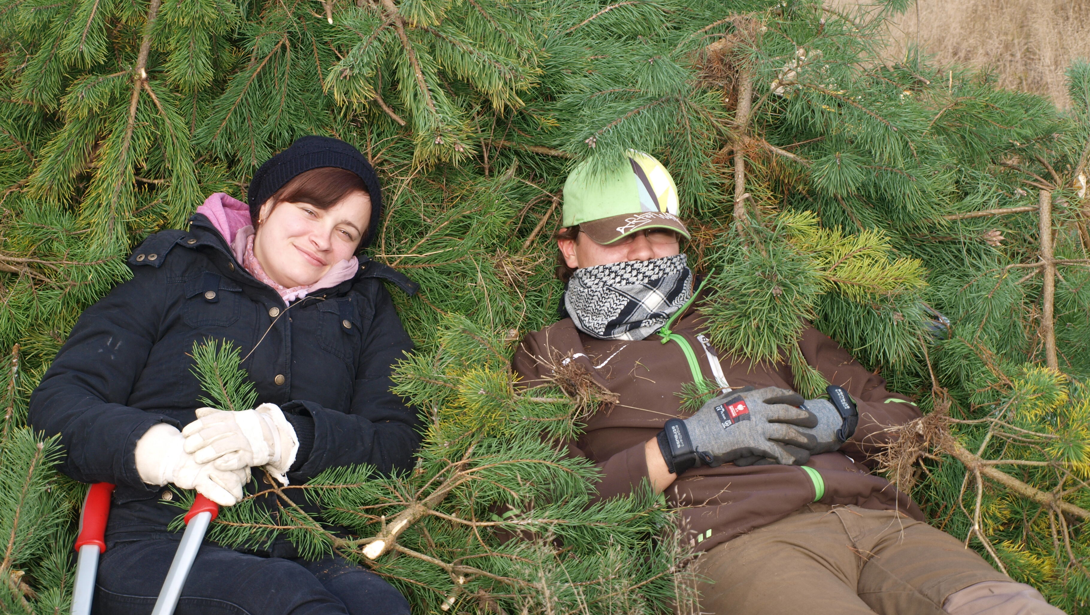 Kiefernaktion Kornburg