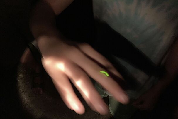 Glühwürmchen auf Hand