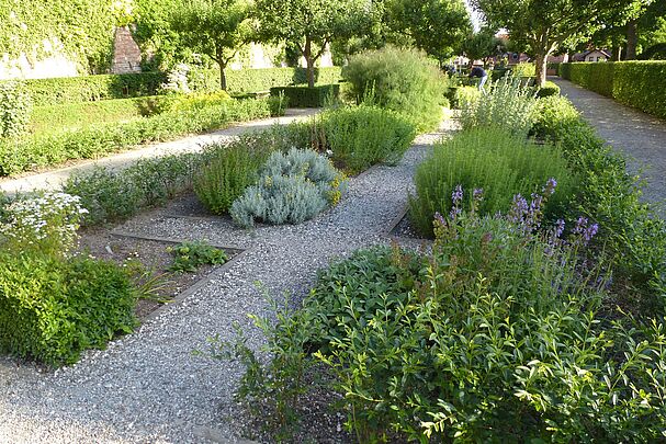 Heilkräutergarten im Hesperidengarten