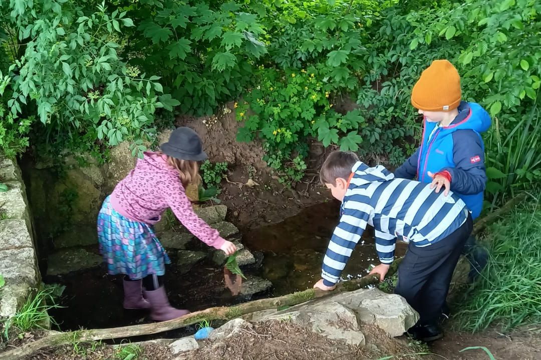 Stapellauf (Foto: Barbara Philipp) Stapellauf