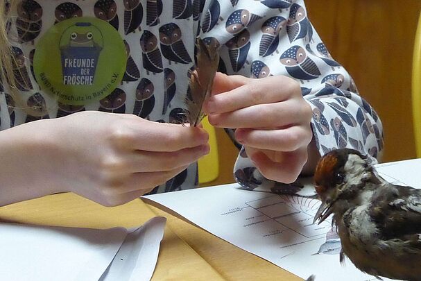 Federnbestimmungskurs