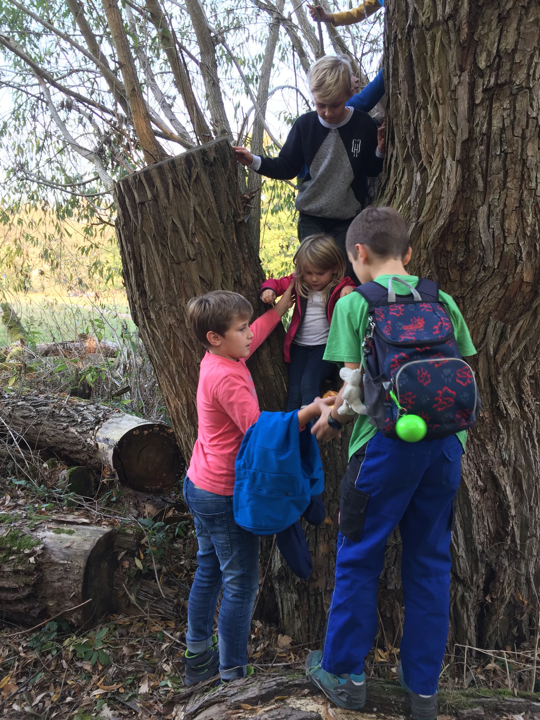 Kindergruppe Pegnitzluchse Schnitzeljagd