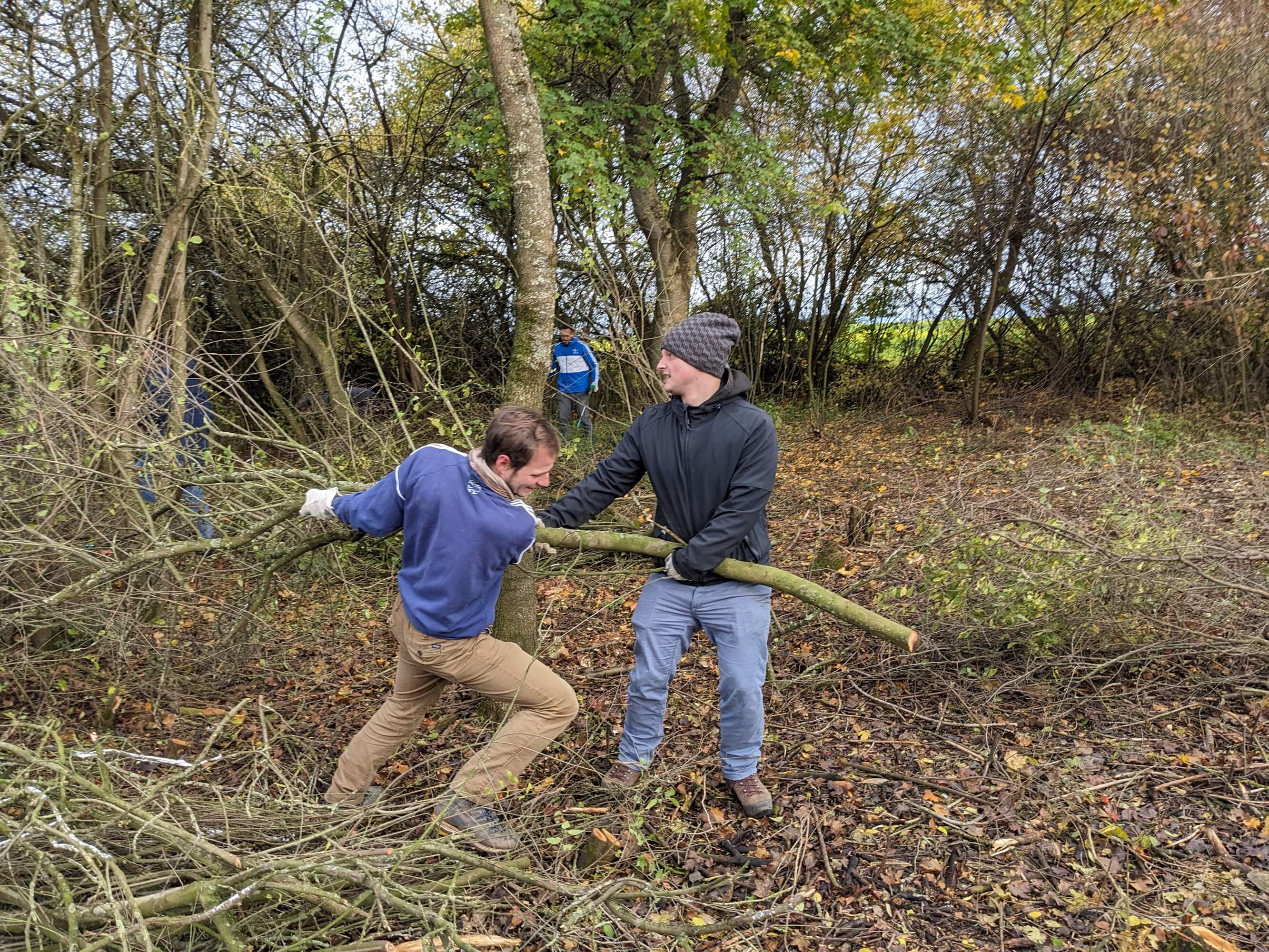 Biotoppflege durch AstraZeneca