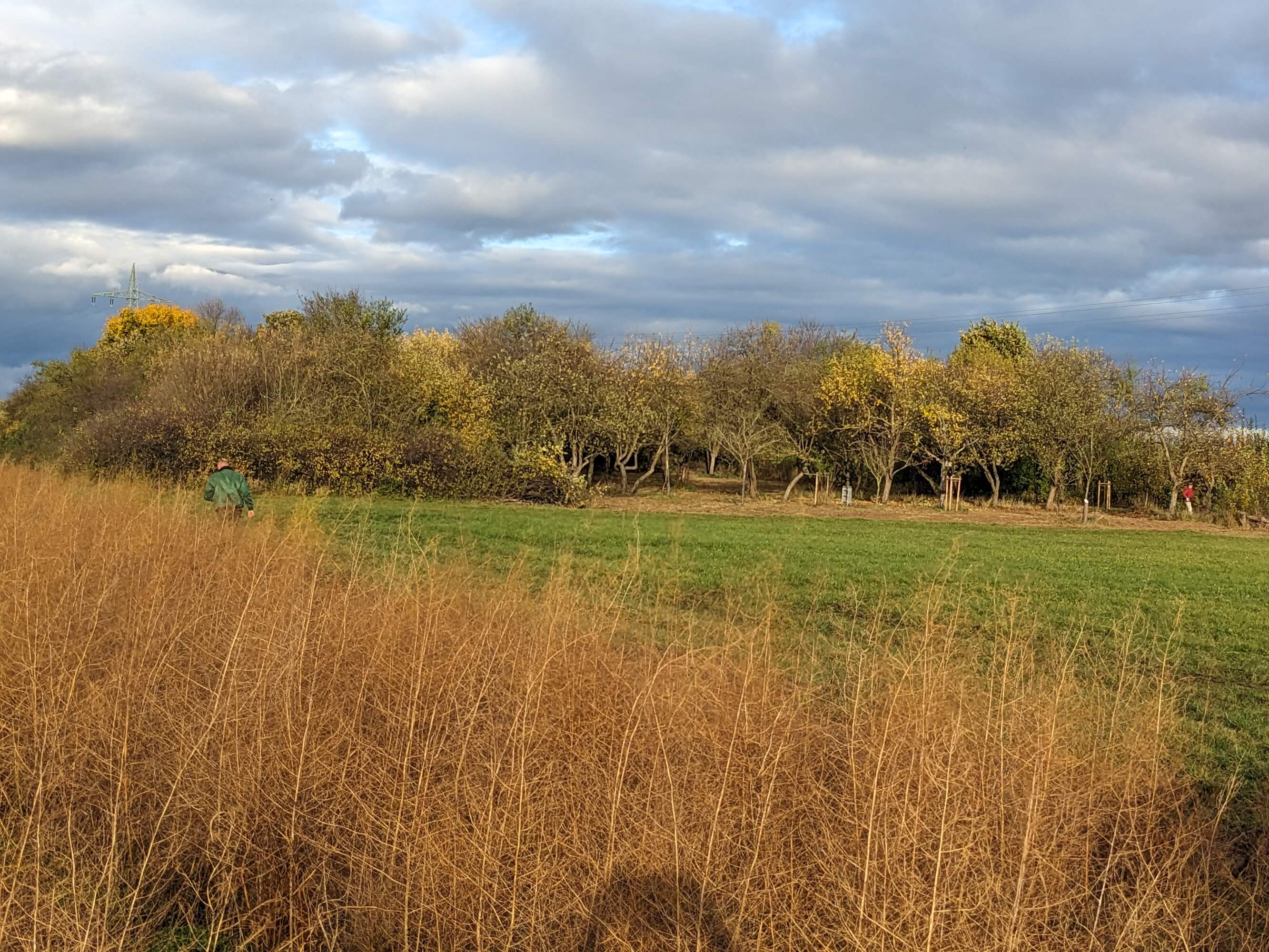 Herbstliche Ansicht des Biotops