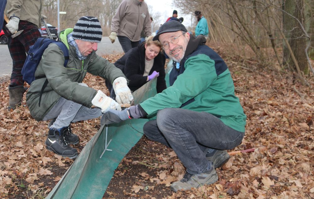 Aufbau des Amphibienschutzzauns am Dutzendteich