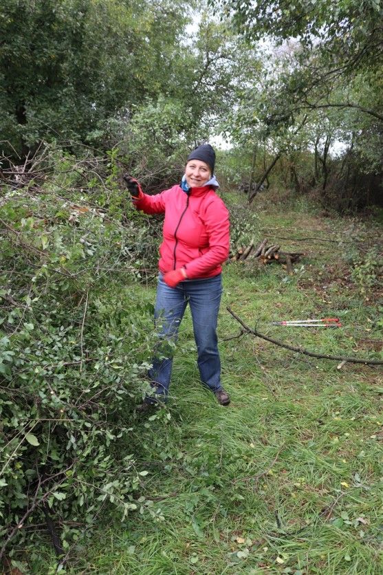 Gehölzschnitt und ...