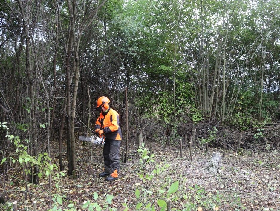 ... in Kleingründlach