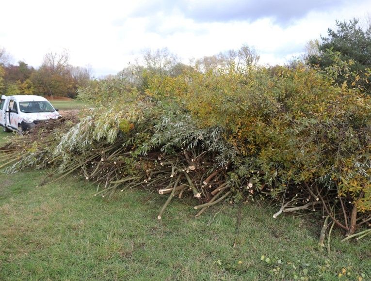 ... kann sich sehen lassen!