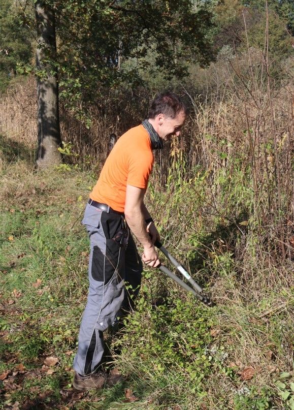 ... und der Amphibientümpel ...