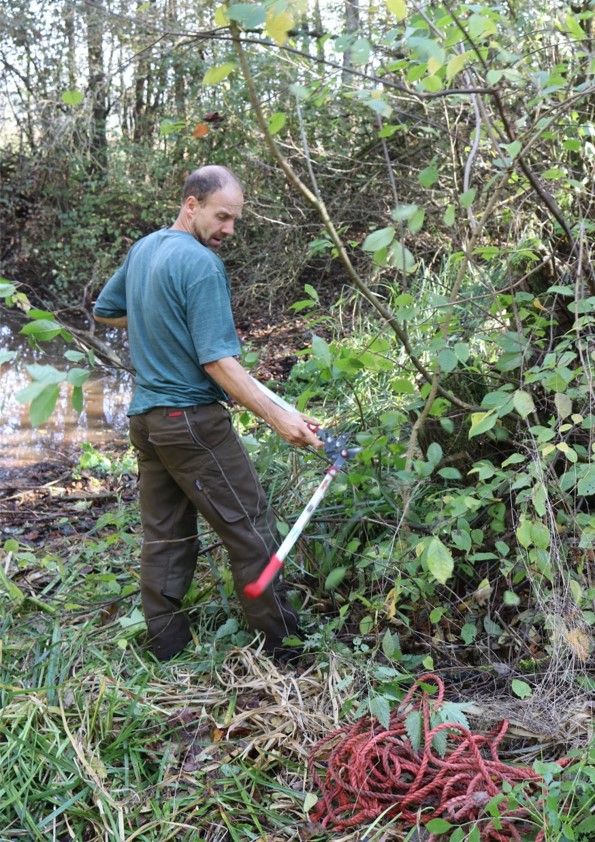 Pflege der Obstwiese ...