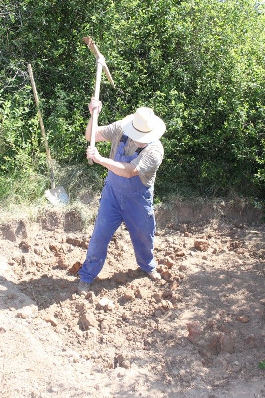 ... im BN-Biotop Fischbach