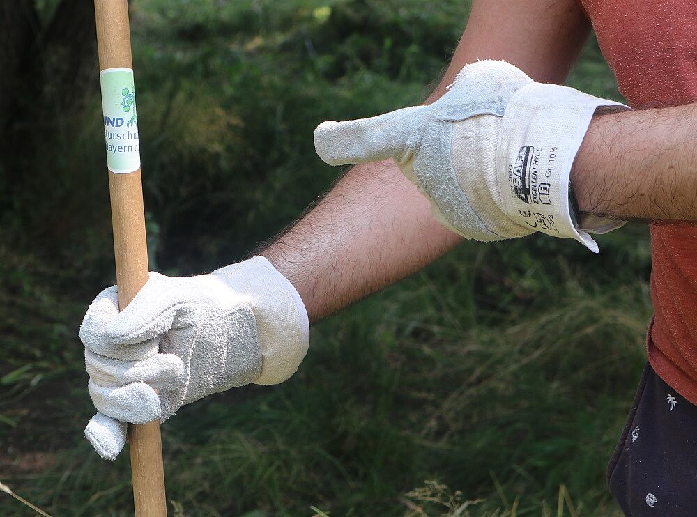 Foto: Wolfgang Dötsch