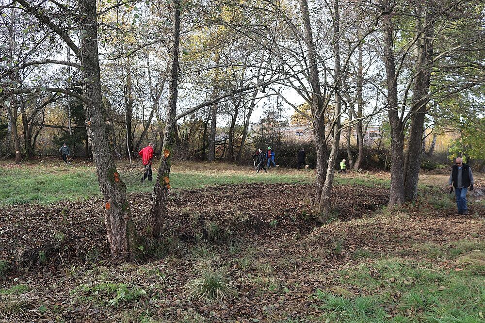 Foto: Wolfgang Dötsch