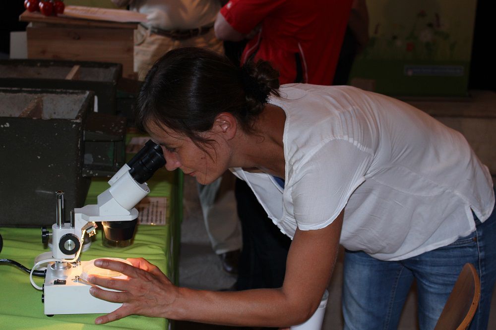 Nicole Stubenhöfer (Wildlebensraumberatung für den Regierungsbezirk Mittelfranken)