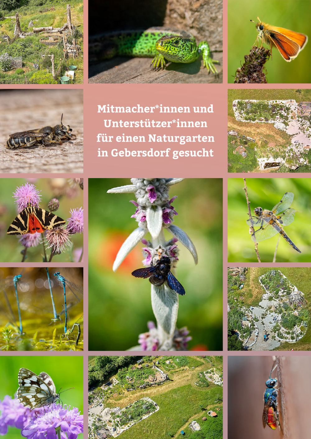 Flyer Naturgarten Gebersdorf