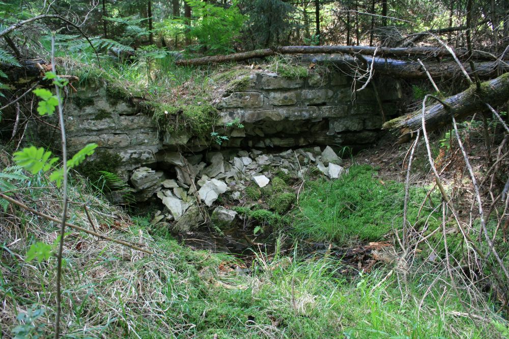 Quelle des Brandgrabens