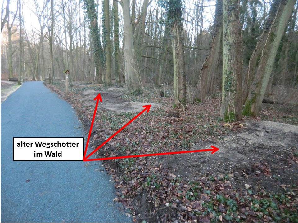 Wegschotter im Wald