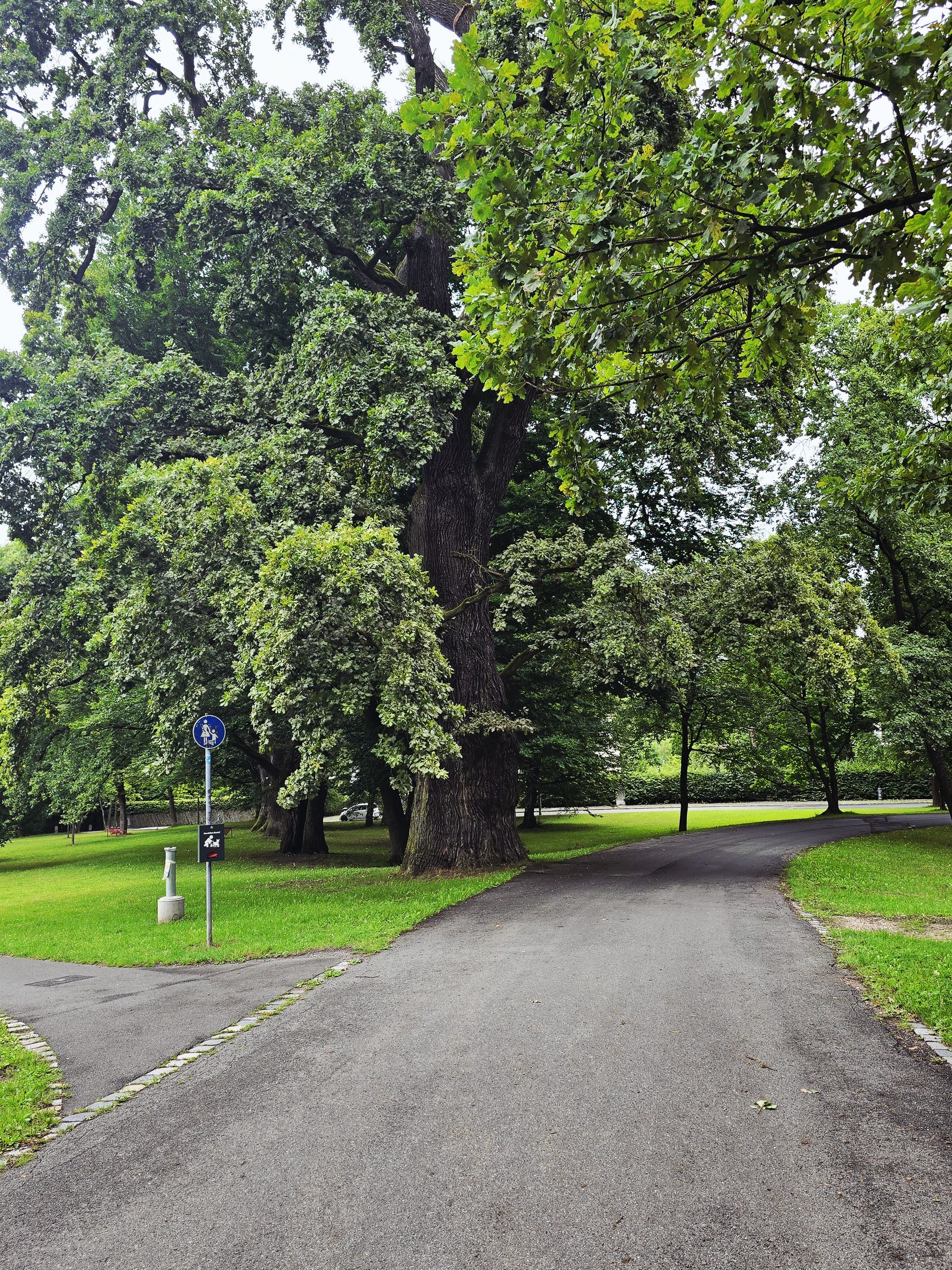 Zufahrt zur Seniorenwohnanlage