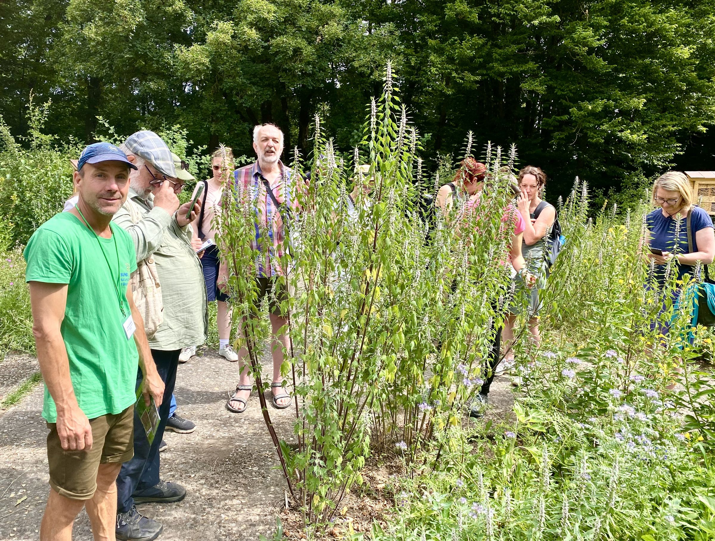SandAchsen-Tagung - Führung im InsektenReich