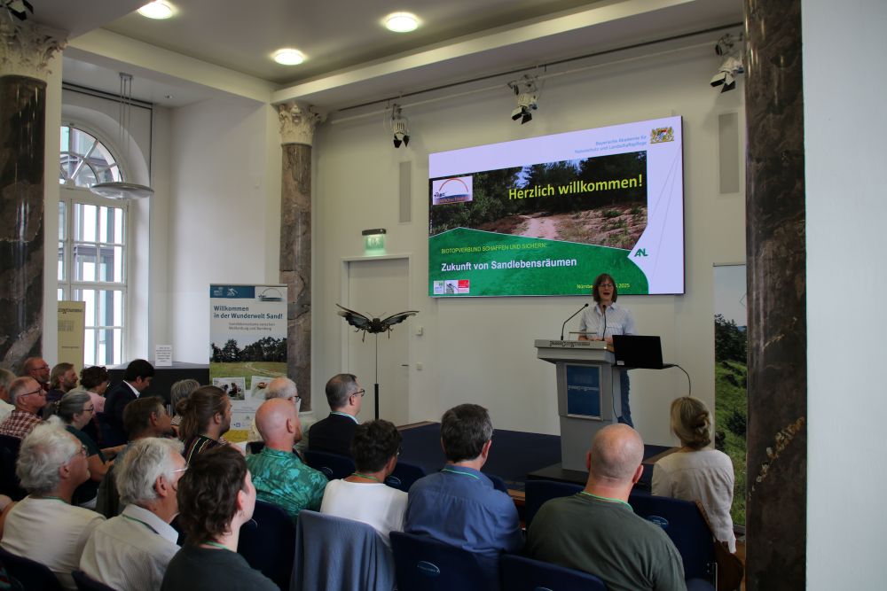 SandAchsen-Tagung - Britta Walthelm