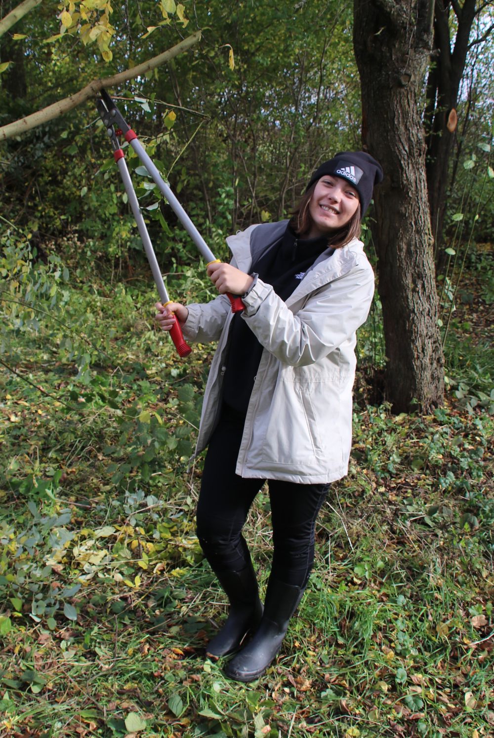 Pflege der Obstwiese Kleingründlach mit Siemens Healthineers
