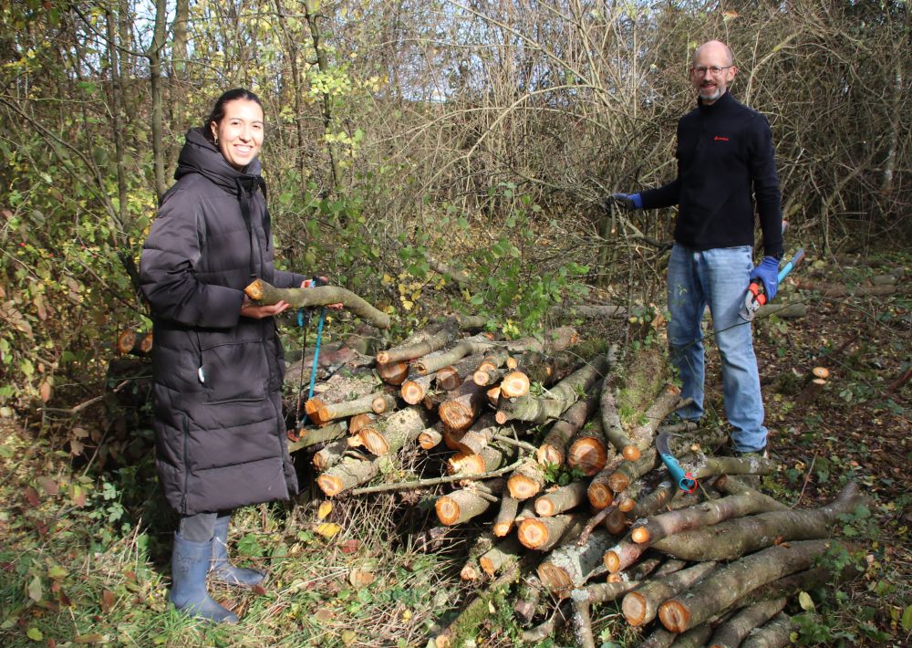 Pflege der Obstwiese Kleingründlach mit Siemens Healthineers