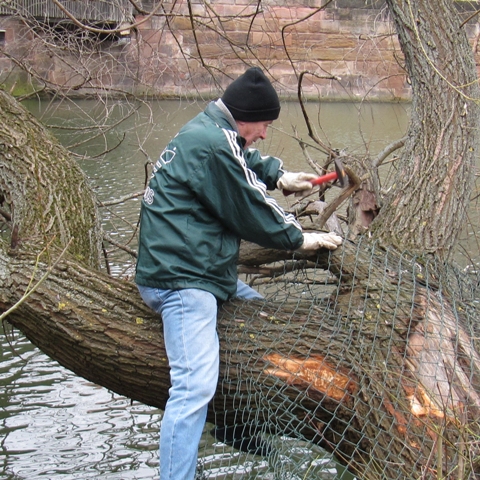 Die Biber-Taskforce im Einsatz