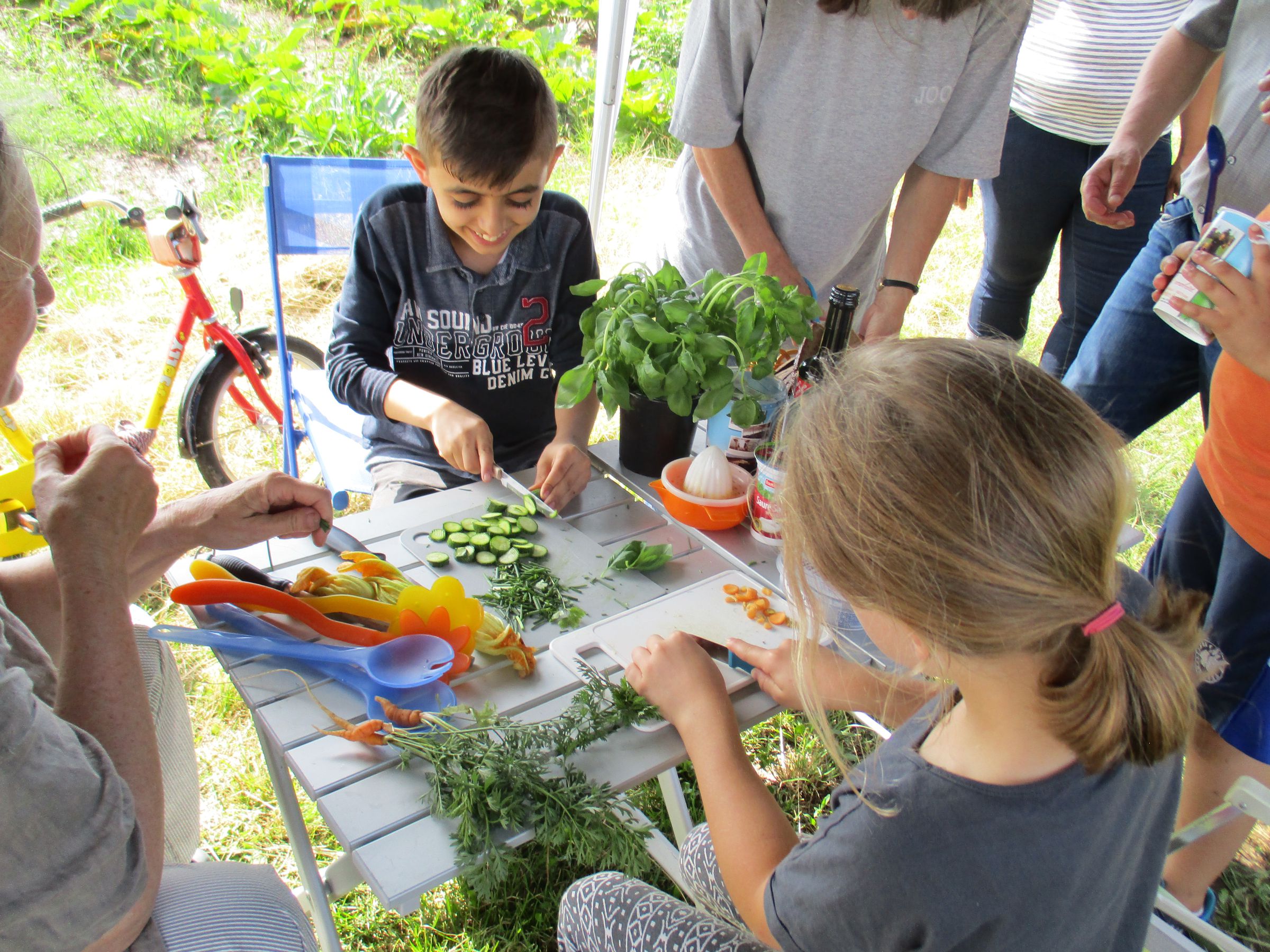 Gemüseacker – Sommerfest