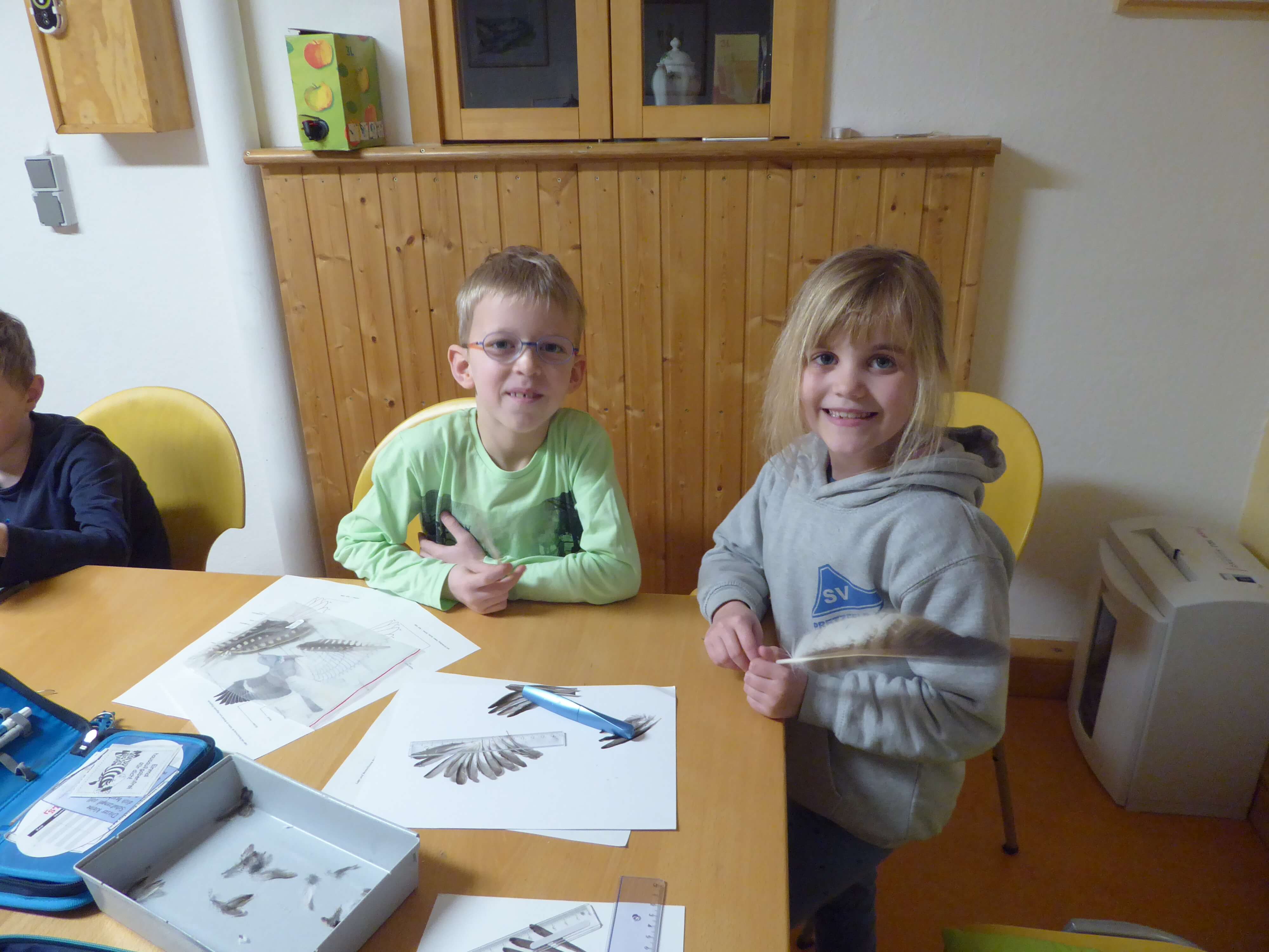 Federnbestimmungskurs