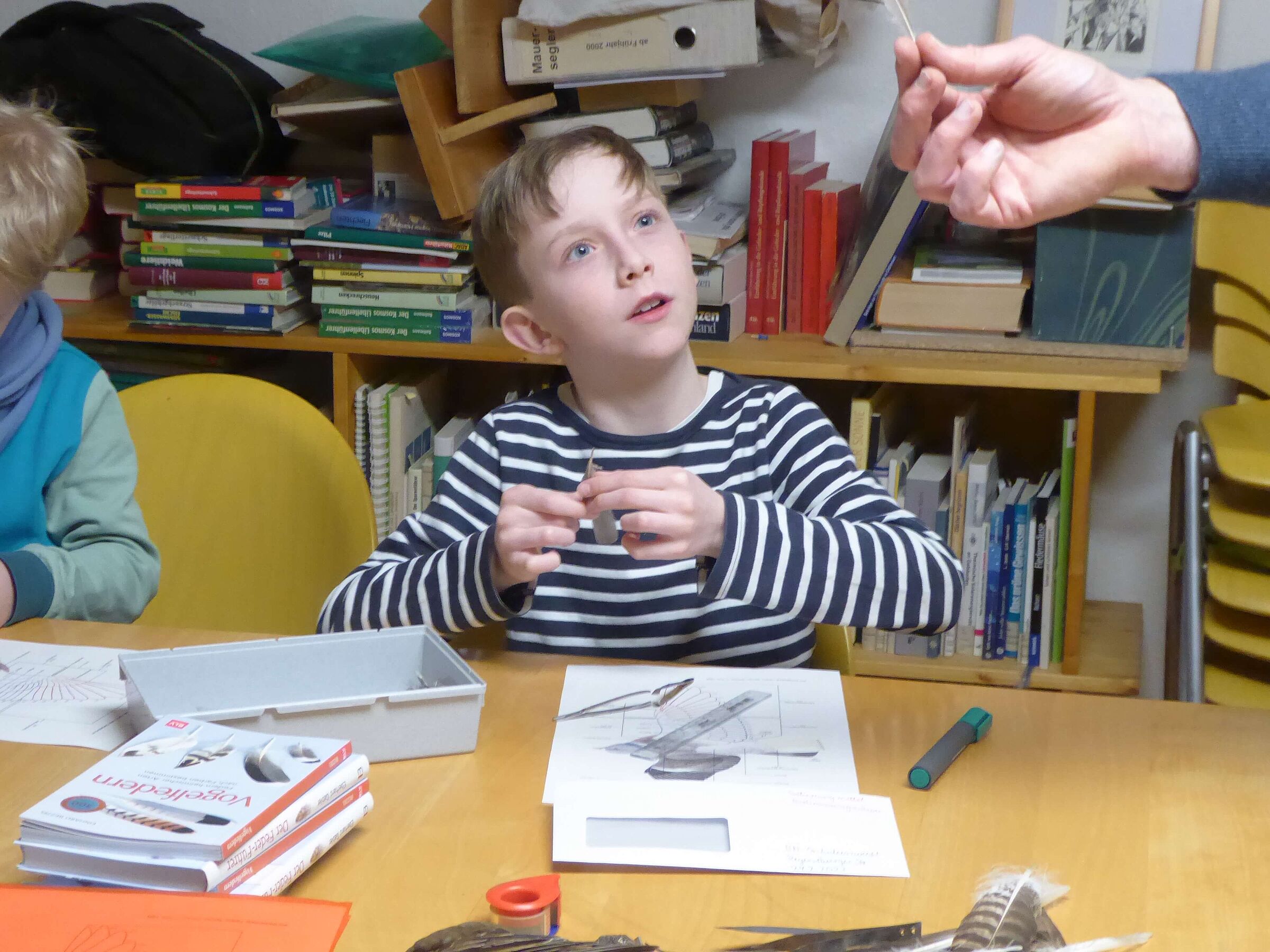 Federnbestimmungskurs