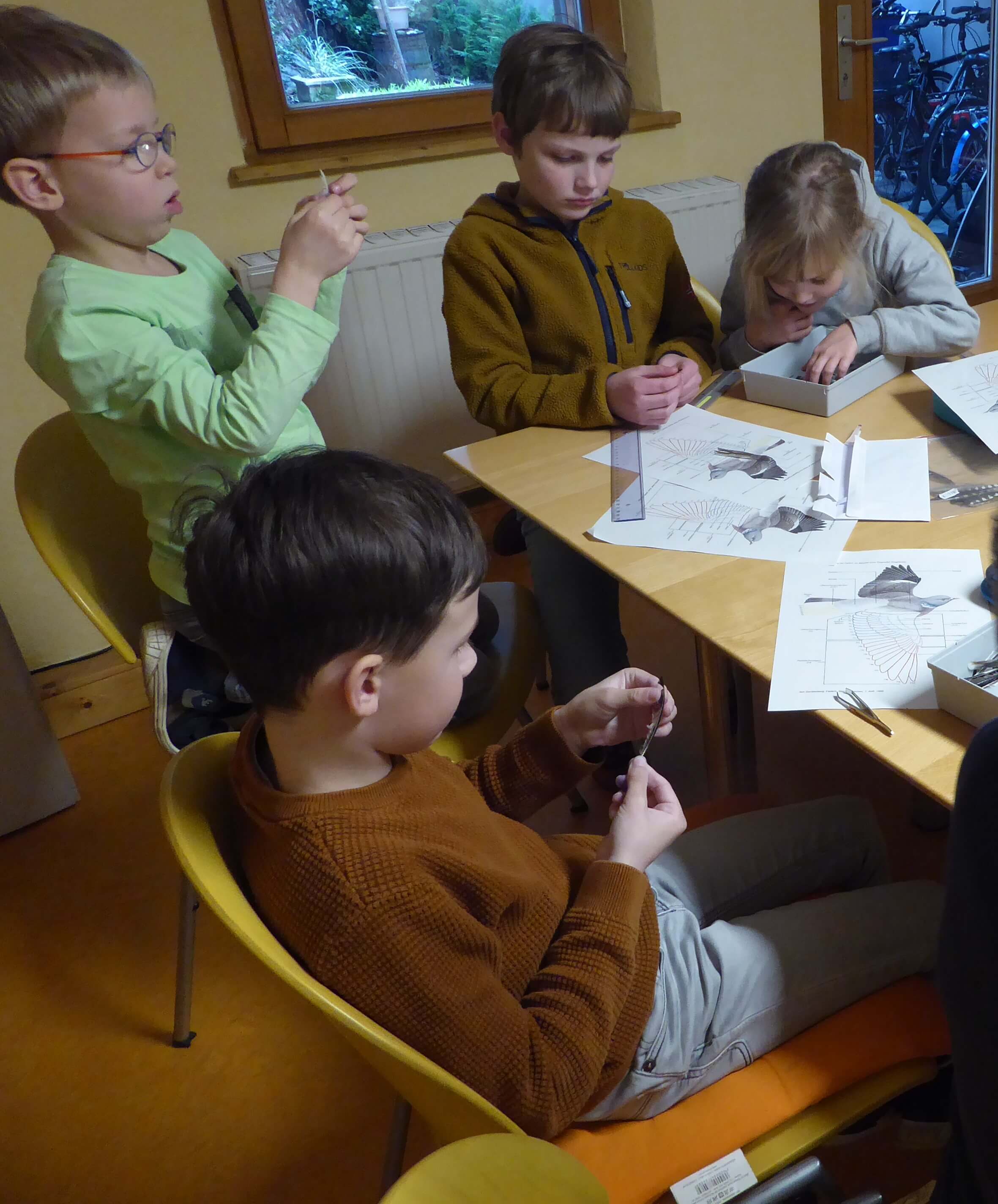 Federnbestimmungskurs